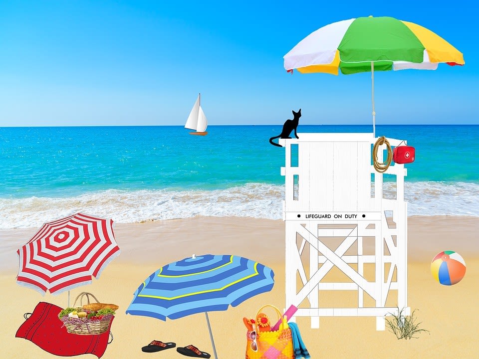Summer Beach Create a Scene, Speech/Language/Reinforcer Activities image