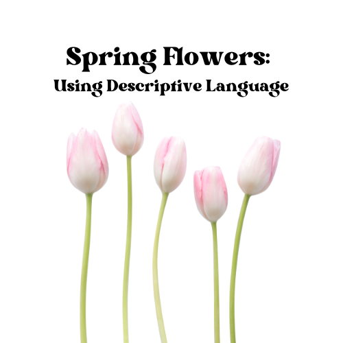 Spring Flowers: Using Descriptive Language image