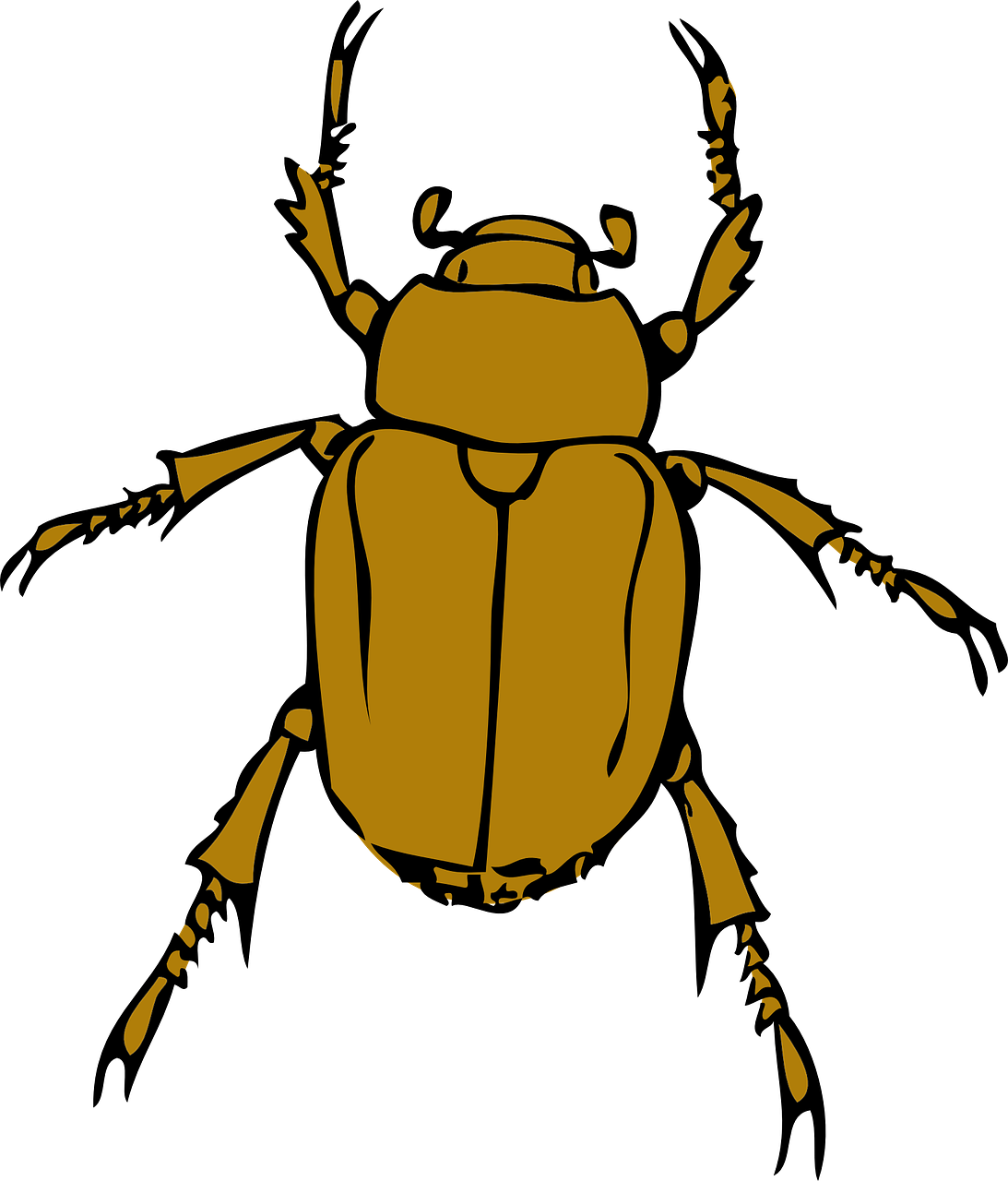 Beetle Activity image