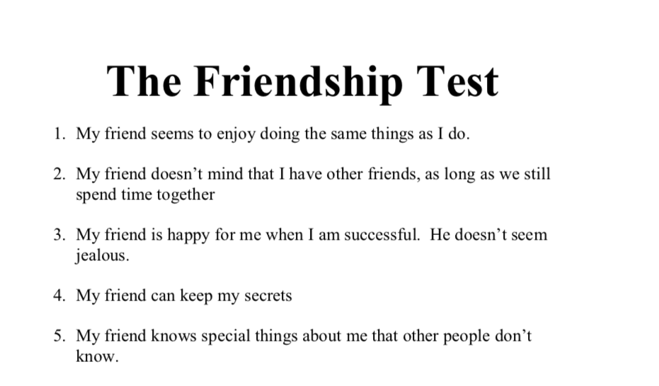 The Friendship Test image