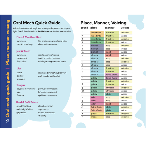 Oral Mech Quick Guide & Place, Manner, Voicing Chart image