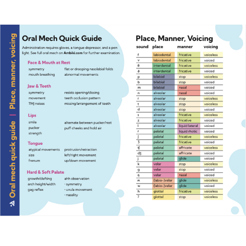 Oral Mech Quick Guide & Place, Manner, Voicing Chart