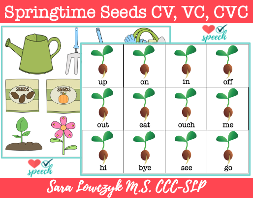 Springtime CV, VC, CVC Words For Apraxia image