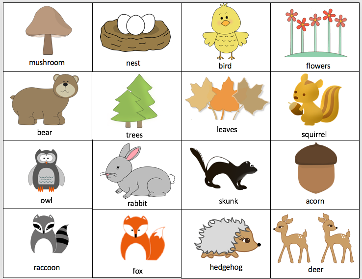 Forest/Woodland Animals Vocabulary image