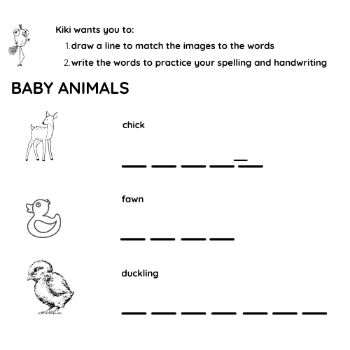 Spring Handwriting Resource image