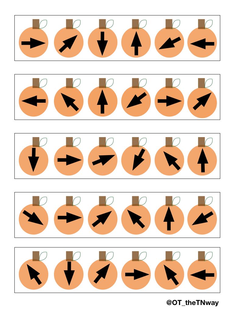 Pumpkin-Visual Perception image