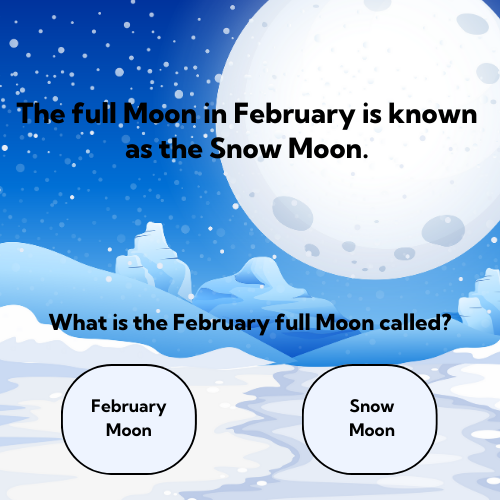 Snow Moon: Full Moon In February image