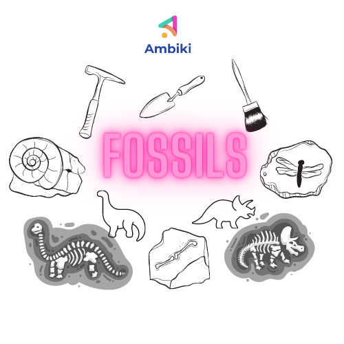 Fossils Worksheets image