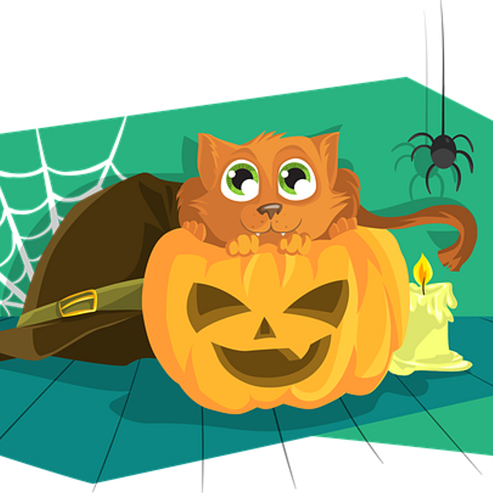 Pumpkin