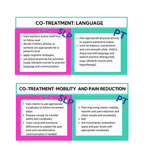 Ambiki - Co-Treatment SLP & PT (1)