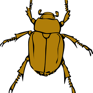 Ambiki - beetle-g290ed5f34_1280