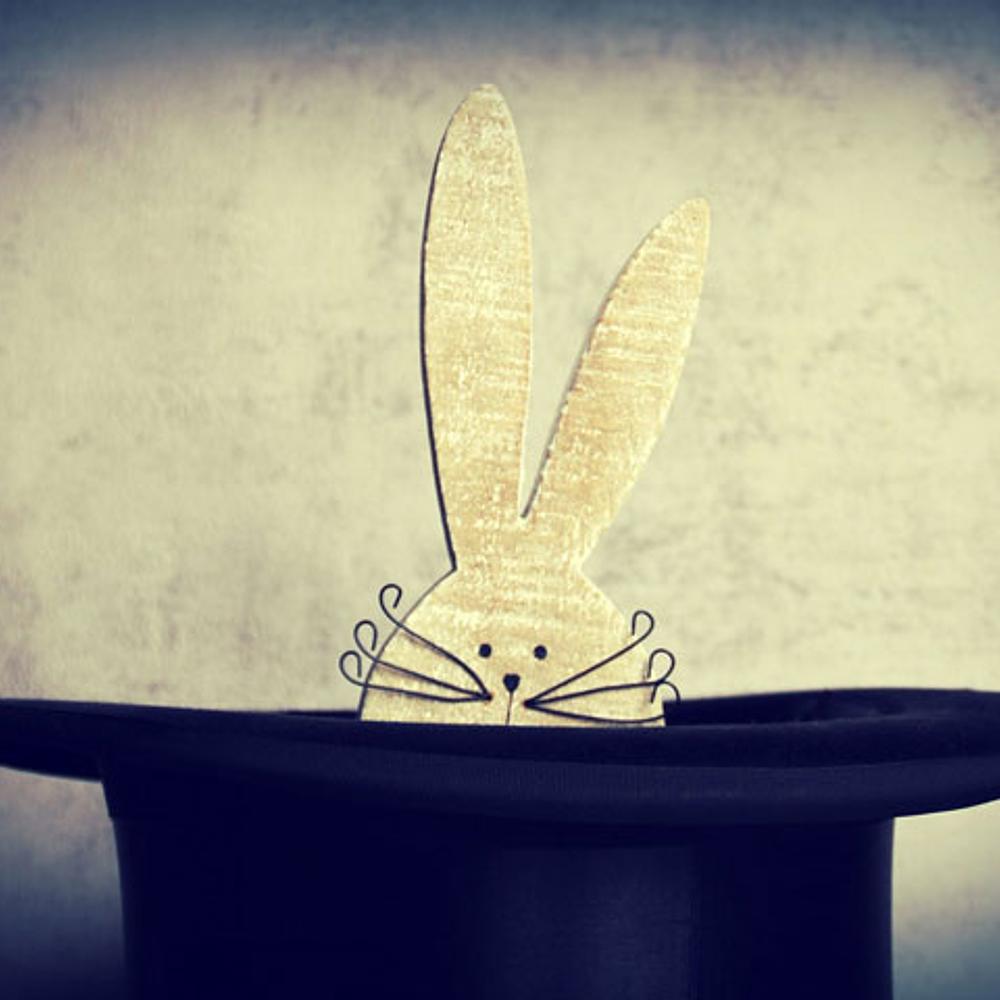 Rabbit In Hat