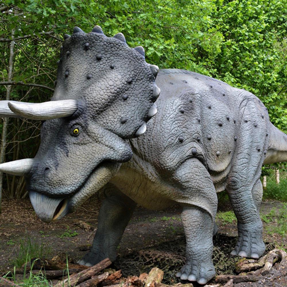 Dinosaur