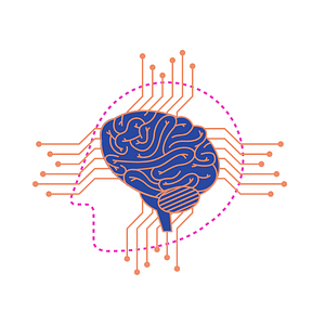 Ambiki - Hidden Function of the Cerebellum Blog Article 300 × 300 px