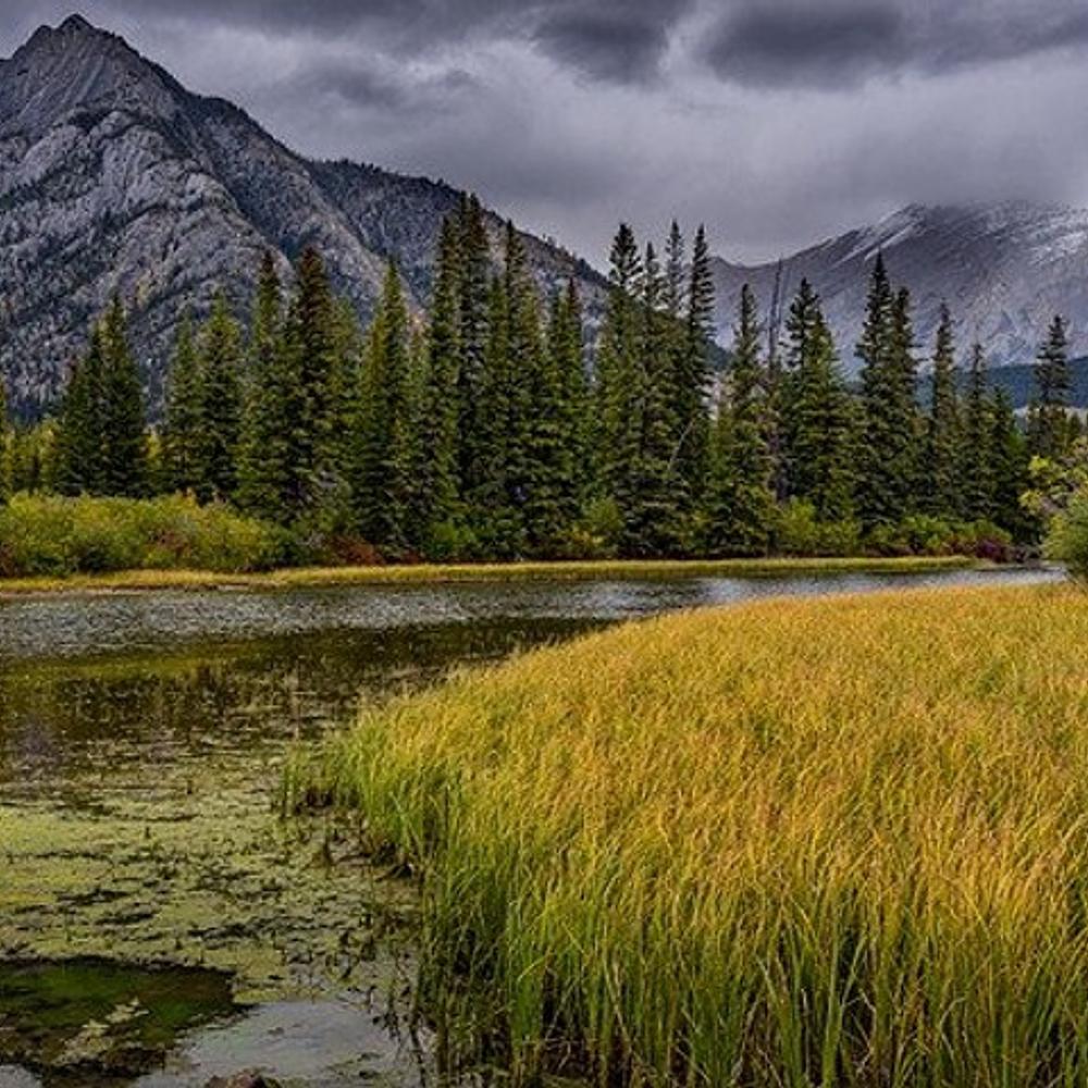 River Wetlands