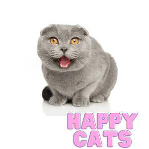Ambiki - Happy Cats