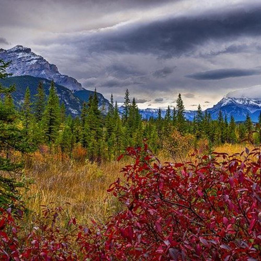 Mountain Scenery