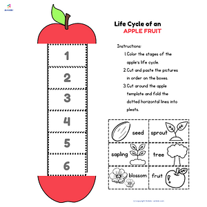 Ambiki - Life Cycle Apple