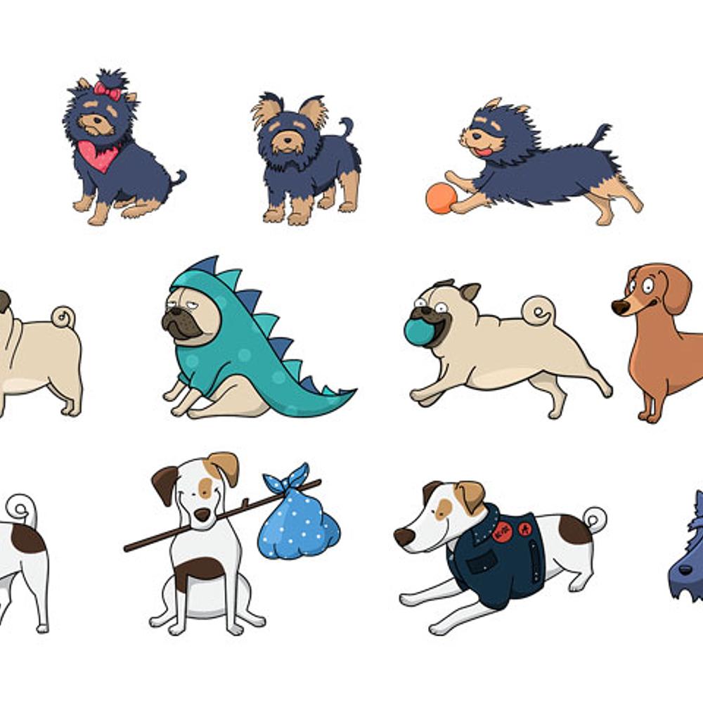 Playful Dogs