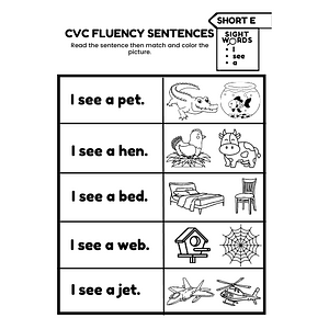 Ambiki - Sight Words CVC Fluency Sentences