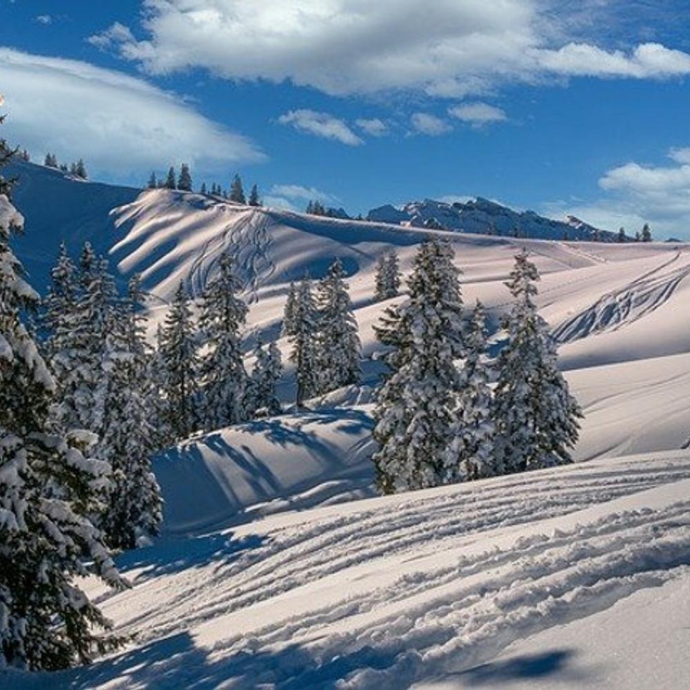 Snowy Hills