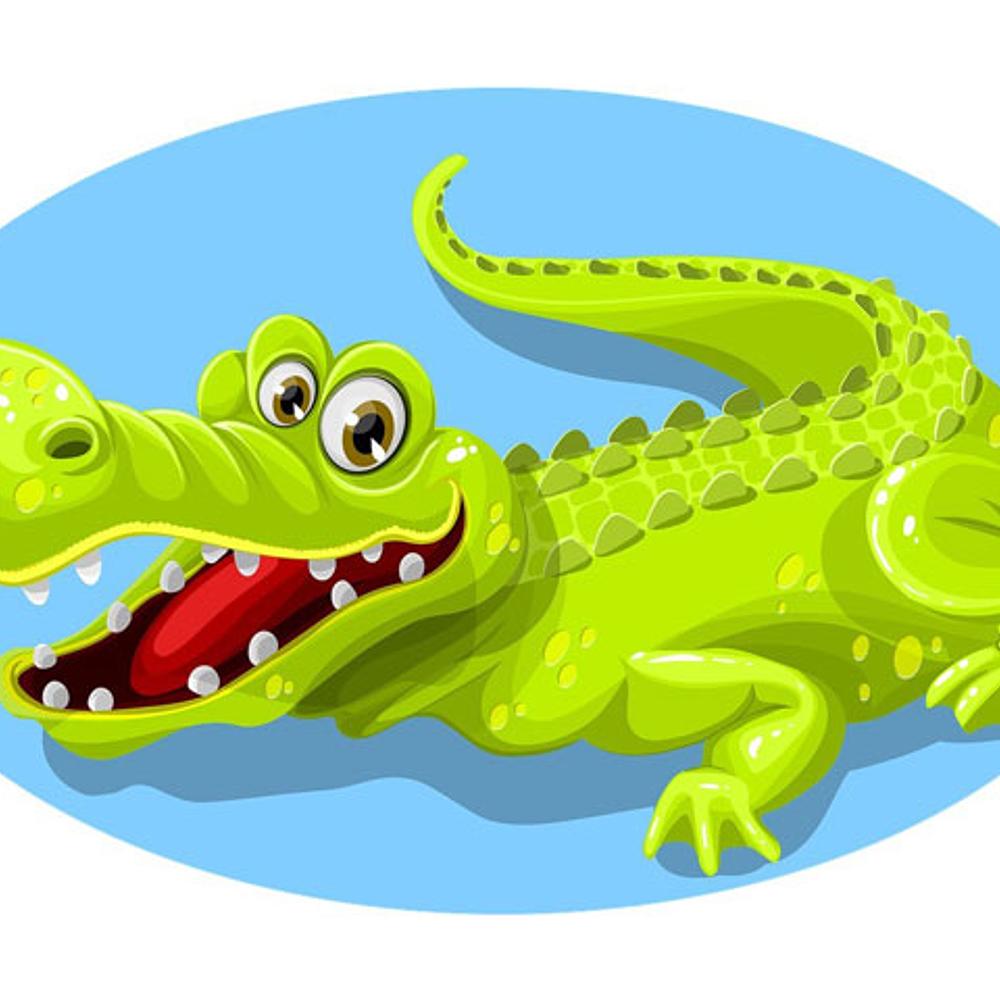 Alligator