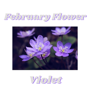 Ambiki - Feb Flower Violet Title