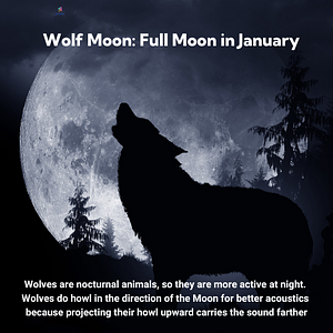 Ambiki - Full Moon in january