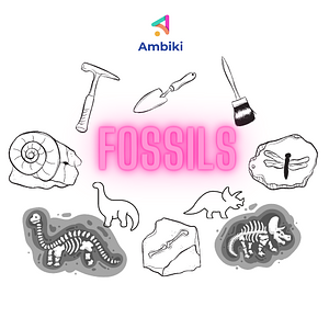 Ambiki - Fossils PNG (1)