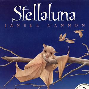 Ambiki - stellaluna-cover-scaled