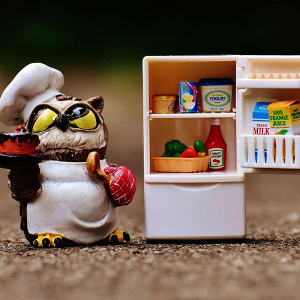 Chef Owl